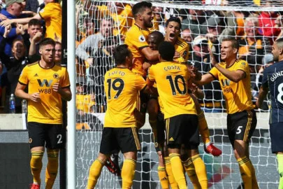 wolves - capa.webp